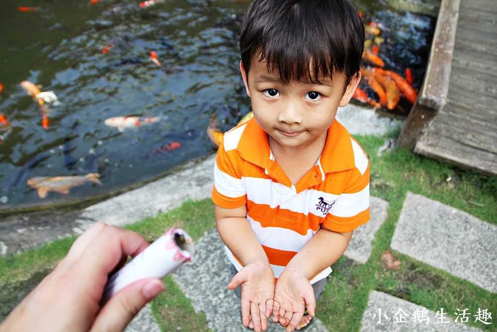 彰化美食。景觀餐廳｜彰化田尾的歐式莊園 溜滑梯。沙坑。魚池。草坪。夢幻玻璃屋