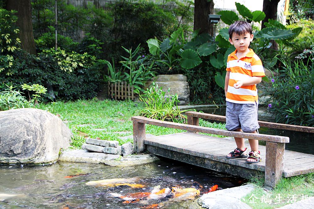 彰化美食。景觀餐廳｜彰化田尾的歐式莊園 溜滑梯。沙坑。魚池。草坪。夢幻玻璃屋