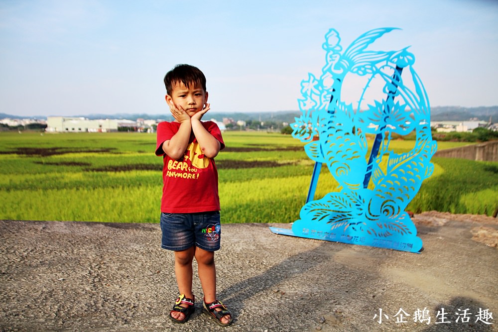 彰化免費景點｜2017花壇彩繪稻田 重現10年前麥香紅茶三春老樹向日葵花田