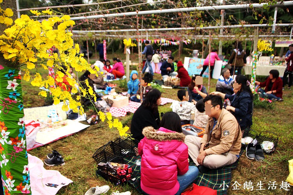 台中外埔｜督拿開酒莊裡葡萄樹下的田園X紅酒X野餐X音樂