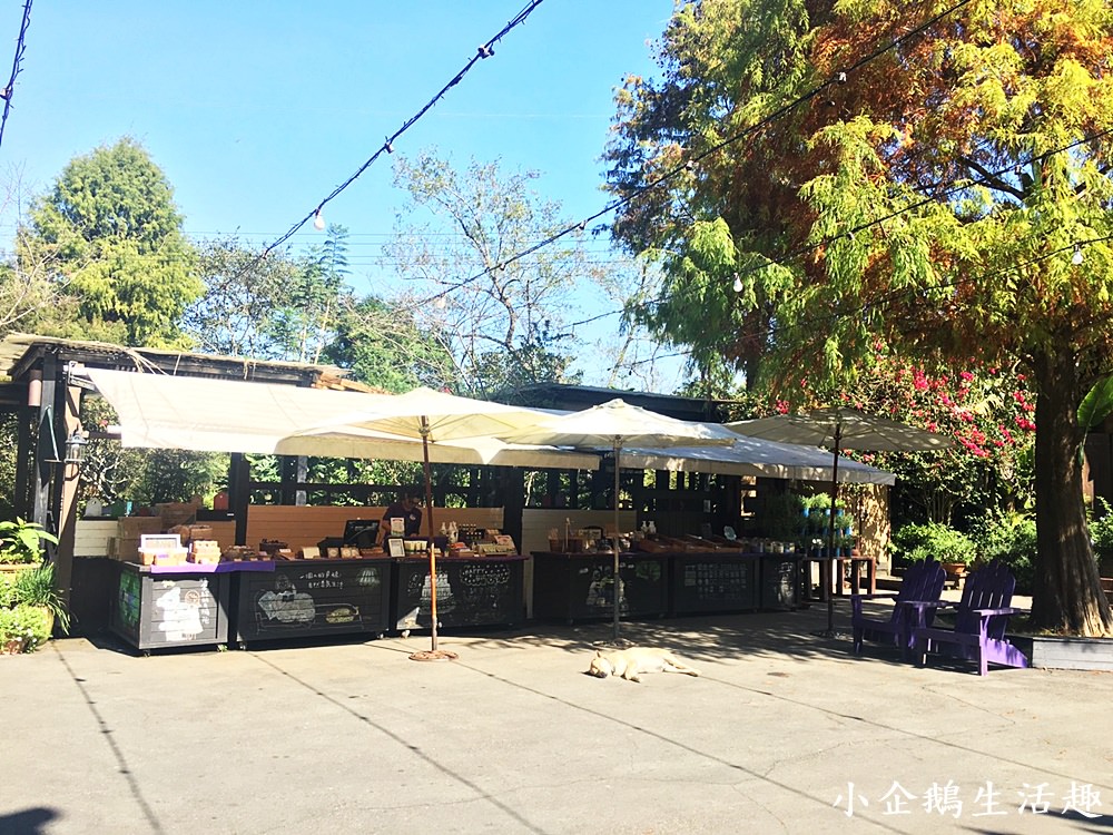 大坑美食｜大坑美食景點一日遊 薰衣草森林/菇神/南屯區藝文中心/紙箱王/樂尼尼LENIN/情人橋