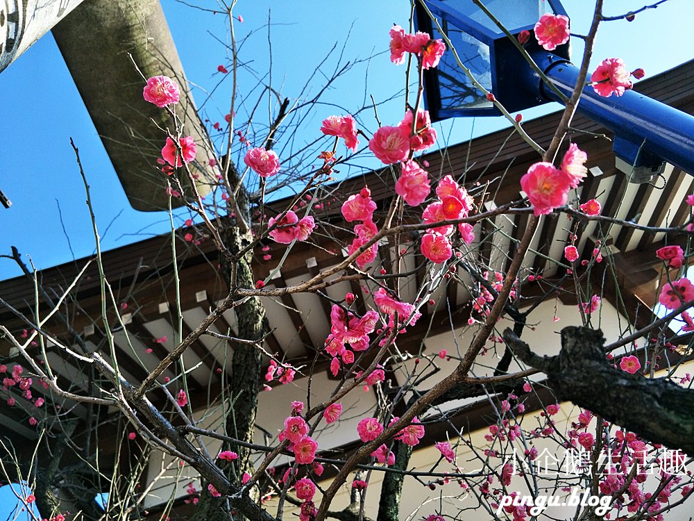 花園稻荷(忍岡稻荷) 五條天神社｜上野景點 想要好人緣必逛的神社 迷你版的千本鳥居