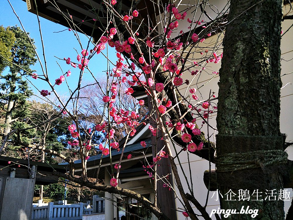 花園稻荷(忍岡稻荷) 五條天神社｜上野景點 想要好人緣必逛的神社 迷你版的千本鳥居