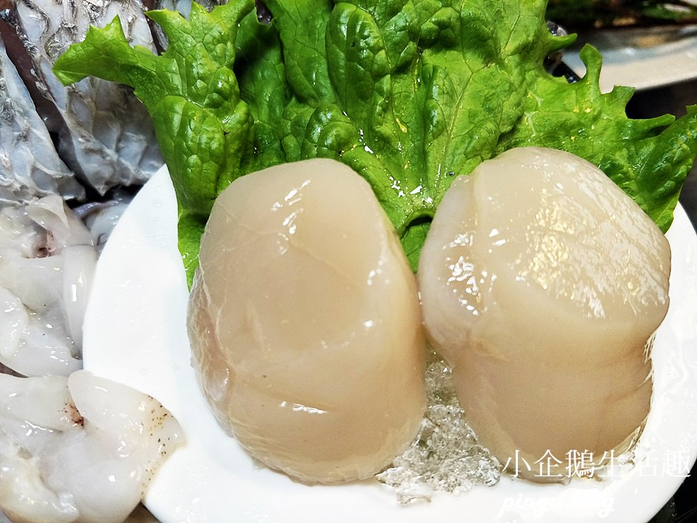 一葉知秋汕頭火鍋｜台中鍋物：日式輕禪風火鍋店 精緻食材霸氣海鮮饗宴  