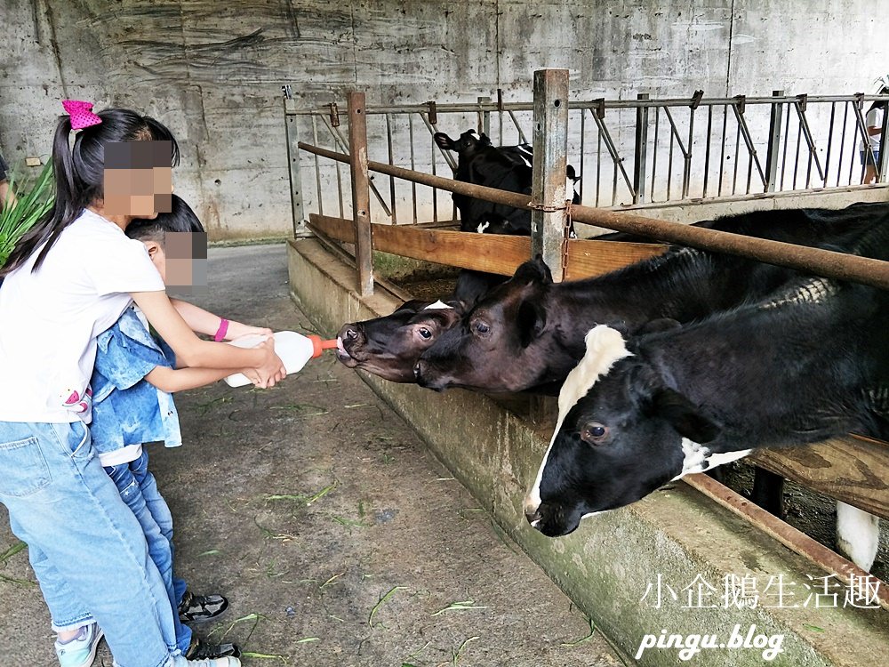 大山休閒農場｜彰化免費景點：八卦山裡的小天地 餵牛喝奶奶/吃草 擠牛奶樂趣無窮