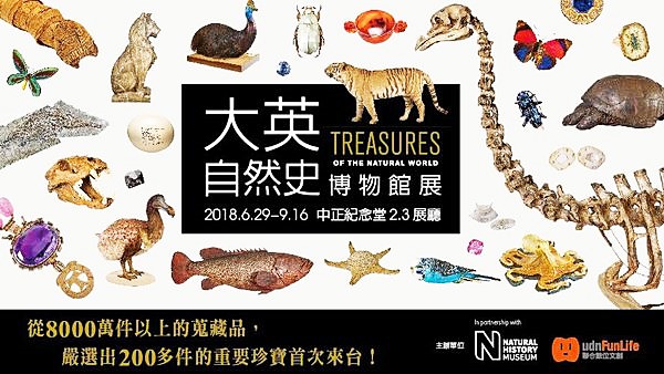 大英自然史博物館展｜國立中正紀念堂 貓咪木乃伊即將揭開神秘面紗(2018/06/29 ~ 09/16)