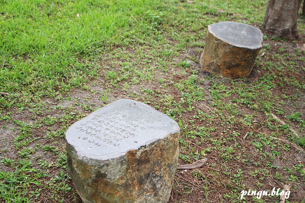 明道大學｜彰化景點：夢幻的IG打卡校園 落羽松/採果/獨木舟/攀岩/漆彈 南彰化一日遊好好玩