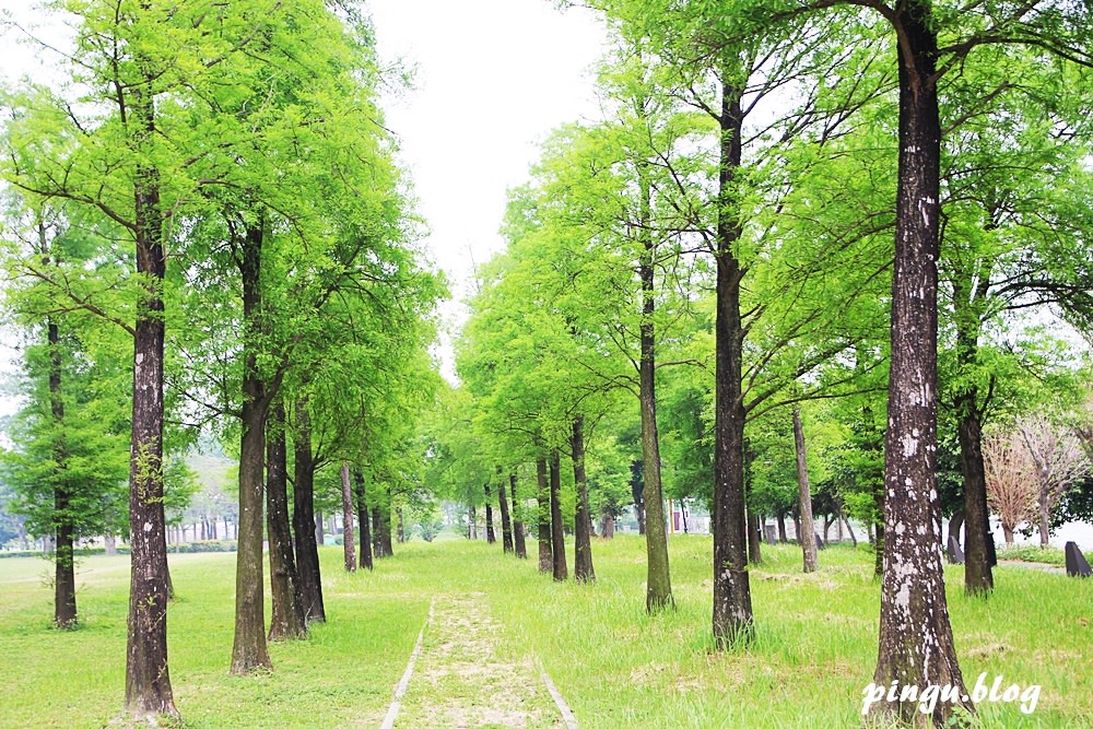 明道大學｜彰化景點：夢幻的IG打卡校園 落羽松/採果/獨木舟/攀岩/漆彈 南彰化一日遊好好玩