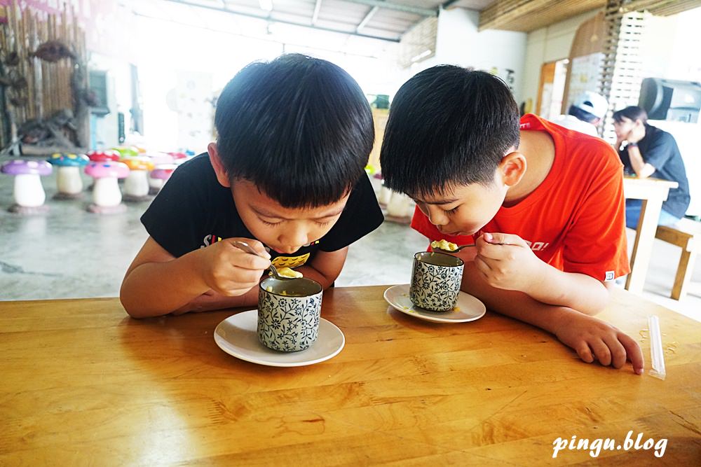 台中新社景點｜百菇莊太空包採菇體驗 菇類美食品嚐的好地方