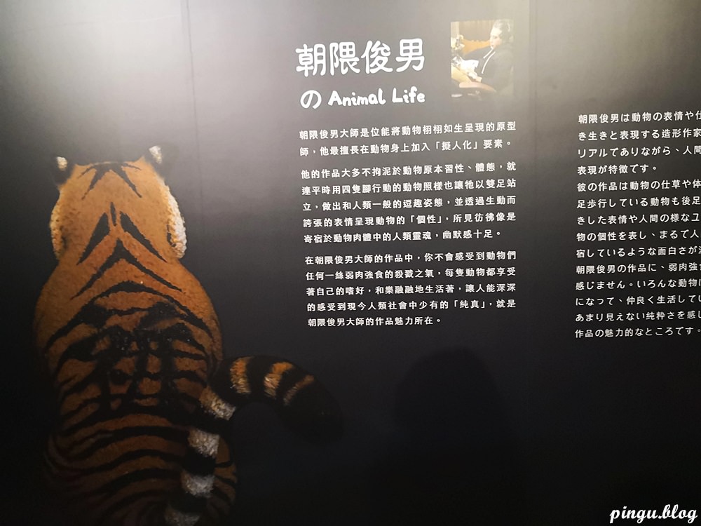 2019台北展覽｜動物也瘋狂 朝隈俊男のAnimal Life 跟著動物一起瘋狂 (2019/06/28~09/15)