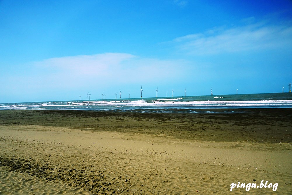 苗栗一日遊｜苗栗慢魚生活 苗栗竹南海線超夯景點 體驗漁獲拍賣的樂趣