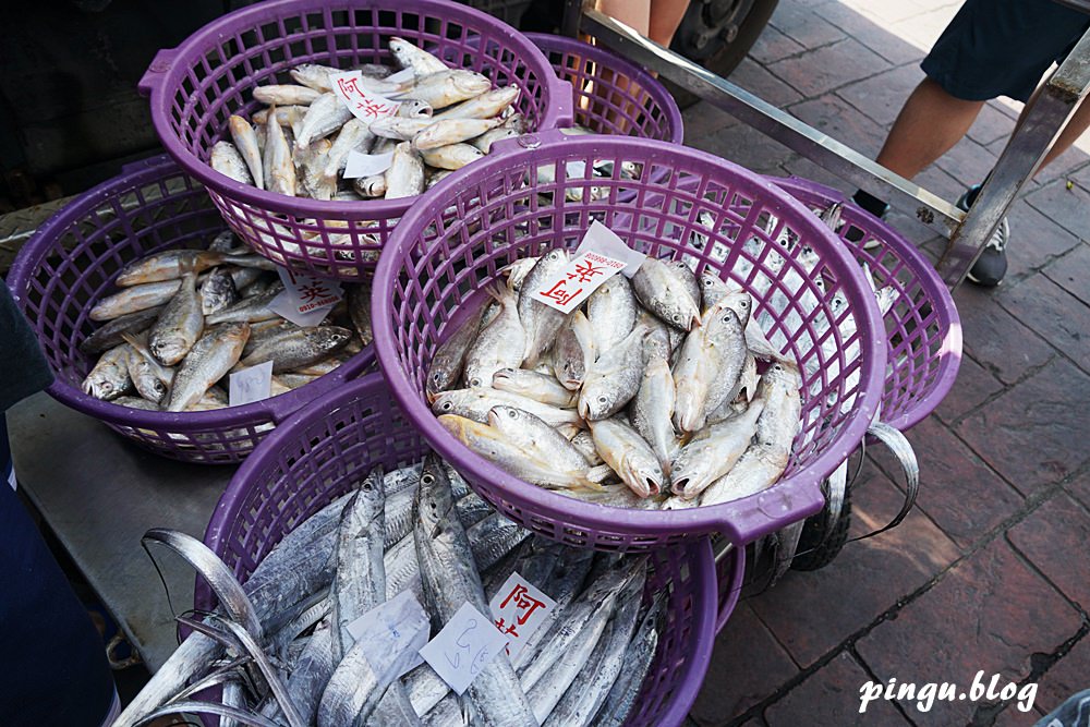 苗栗一日遊｜苗栗慢魚生活 苗栗竹南海線超夯景點 體驗漁獲拍賣的樂趣