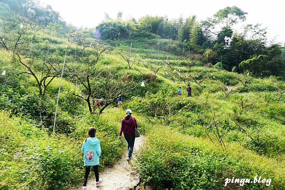 台中泰雅部落一日遊｜賽德克巴萊/西遊記女兒國的拍攝場景 巨大山蘇林/巨人之手