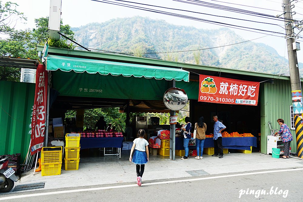 台中泰雅部落一日遊｜賽德克巴萊/西遊記女兒國的拍攝場景 巨大山蘇林/巨人之手