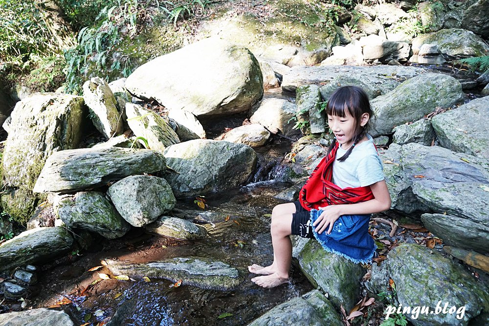 台中泰雅部落一日遊｜賽德克巴萊/西遊記女兒國的拍攝場景 巨大山蘇林/巨人之手