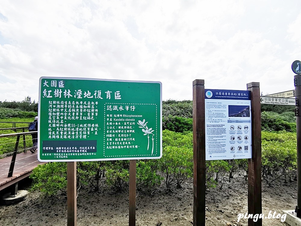 桃園一日遊｜桃園海岸生態旅遊 結合在地農場/了解 許厝港重要濕地/海洋客家文化巡禮