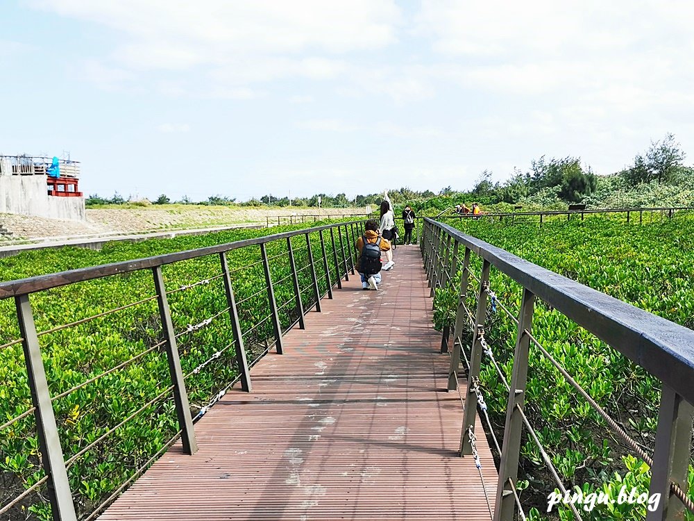 桃園一日遊｜桃園海岸生態旅遊 結合在地農場/了解 許厝港重要濕地/海洋客家文化巡禮