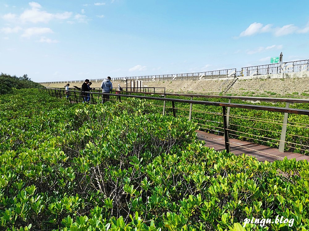 桃園一日遊｜桃園海岸生態旅遊 結合在地農場/了解 許厝港重要濕地/海洋客家文化巡禮