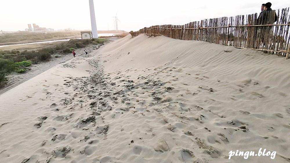 桃園一日遊｜桃園海岸生態旅遊 結合在地農場/了解 許厝港重要濕地/海洋客家文化巡禮