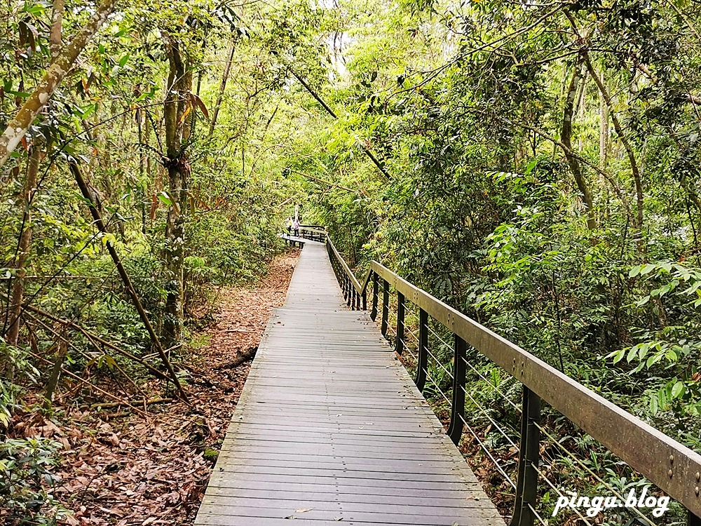 南投景點｜水蛙頭步道 九蛙疊像超可愛 南投親子步道