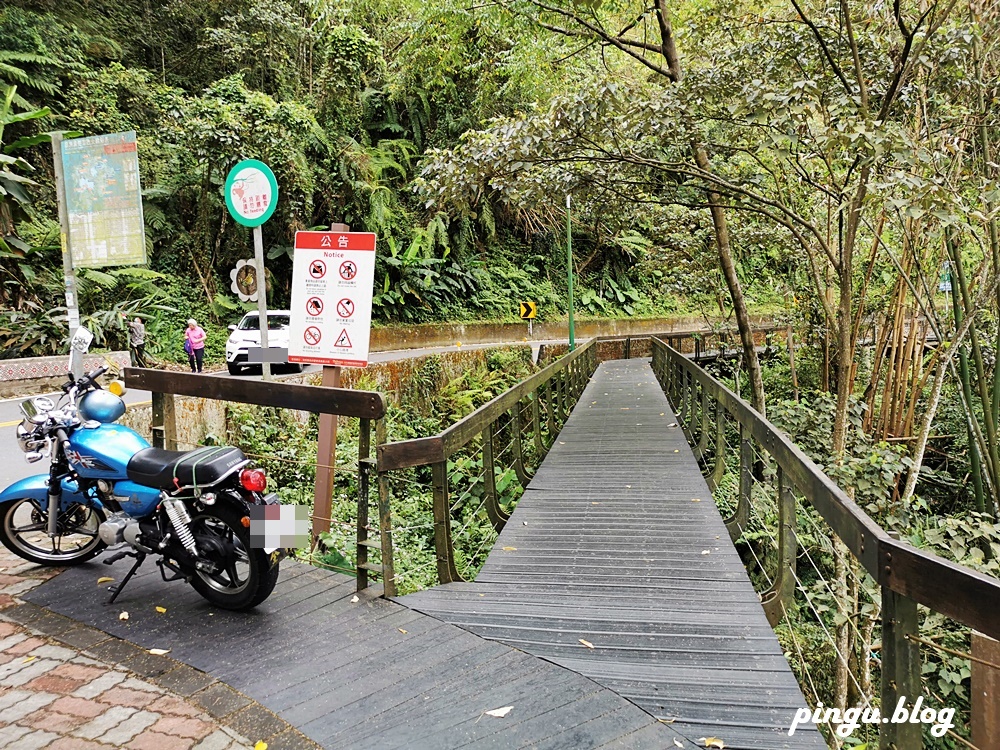 南投景點｜水蛙頭步道 九蛙疊像超可愛 南投親子步道