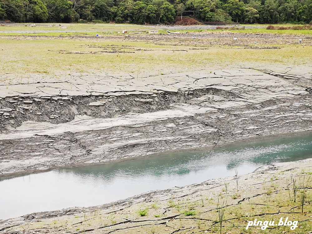 南投景點｜水蛙頭步道 九蛙疊像超可愛 南投親子步道