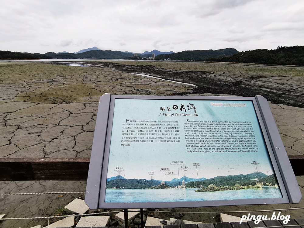 南投景點｜水蛙頭步道 九蛙疊像超可愛 南投親子步道