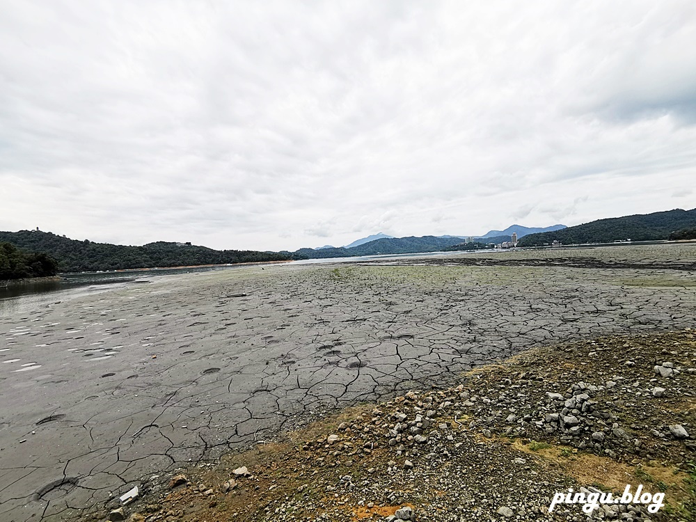 南投景點｜水蛙頭步道 九蛙疊像超可愛 南投親子步道