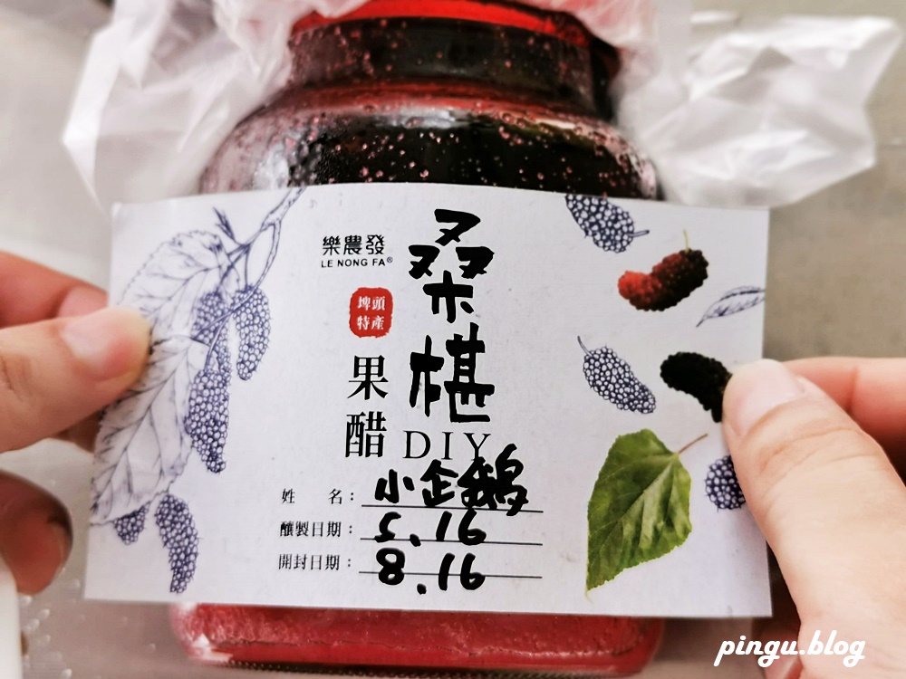 彰化一日遊｜樂農發休閒農場 親子採果趣 桑葚葉不只蠶寶寶能吃 也能泡茶唷~