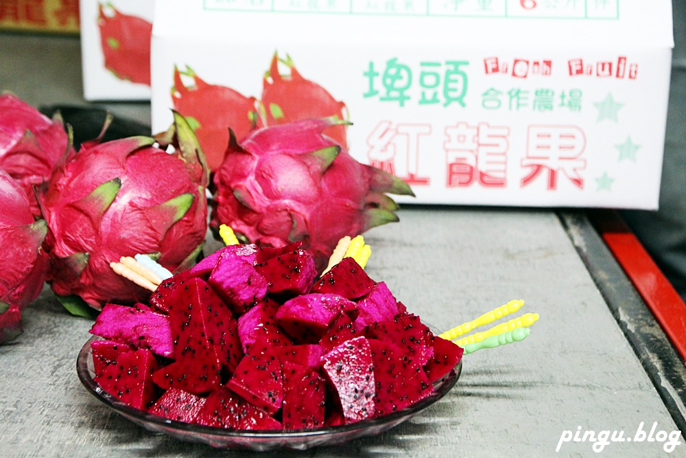 彰化一日遊｜京兆園火龍果採果趣 無農藥及除草劑殘留 食在好安心