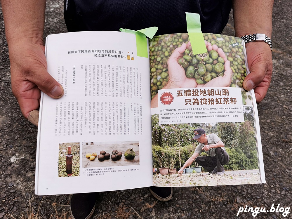 南投住宿｜四季主題經典農遊 魚池鄉特色民宿 傳統包棟民宿/五葉松庭院飯店/烤香菇/手沖咖啡