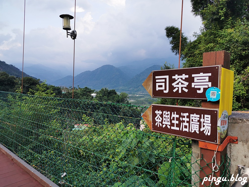 南投景點｜四季主題經典農遊 信義/水里鄉一日遊 梅汁愛玉/梅精麻糬/梅汁泡菜/蜂巢蠟燭DIY