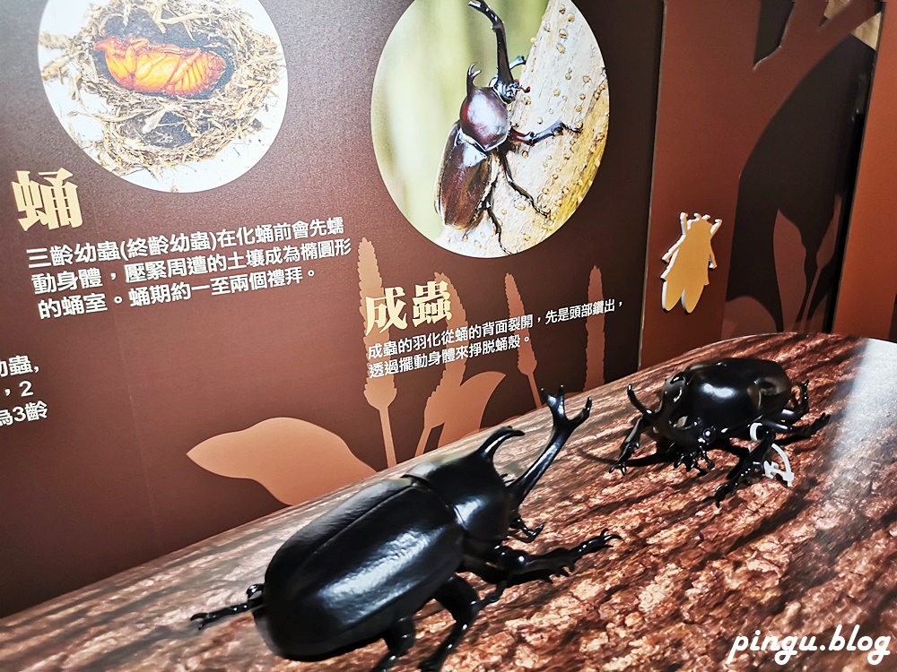 2021台北展覽｜大昆蟲展！我要當昆蟲王(2021/10/01~2022/06/12)