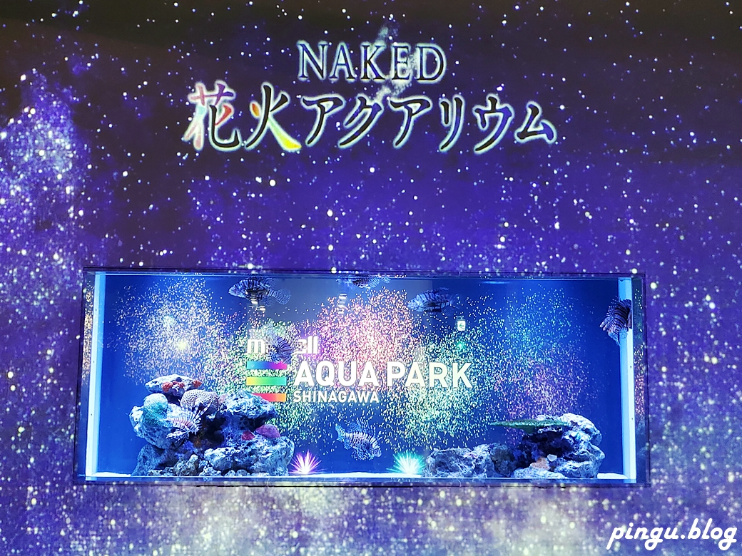 東京景點｜Maxell Aqua Park品川水族館 精彩的海豚表演 絢麗的水母館 是品川必去的室內景點