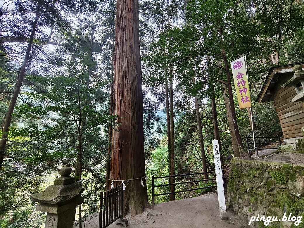 日本鳥取景點｜全日本唯一以「金持」為名的神社 祈求金錢運來金持神社就對了