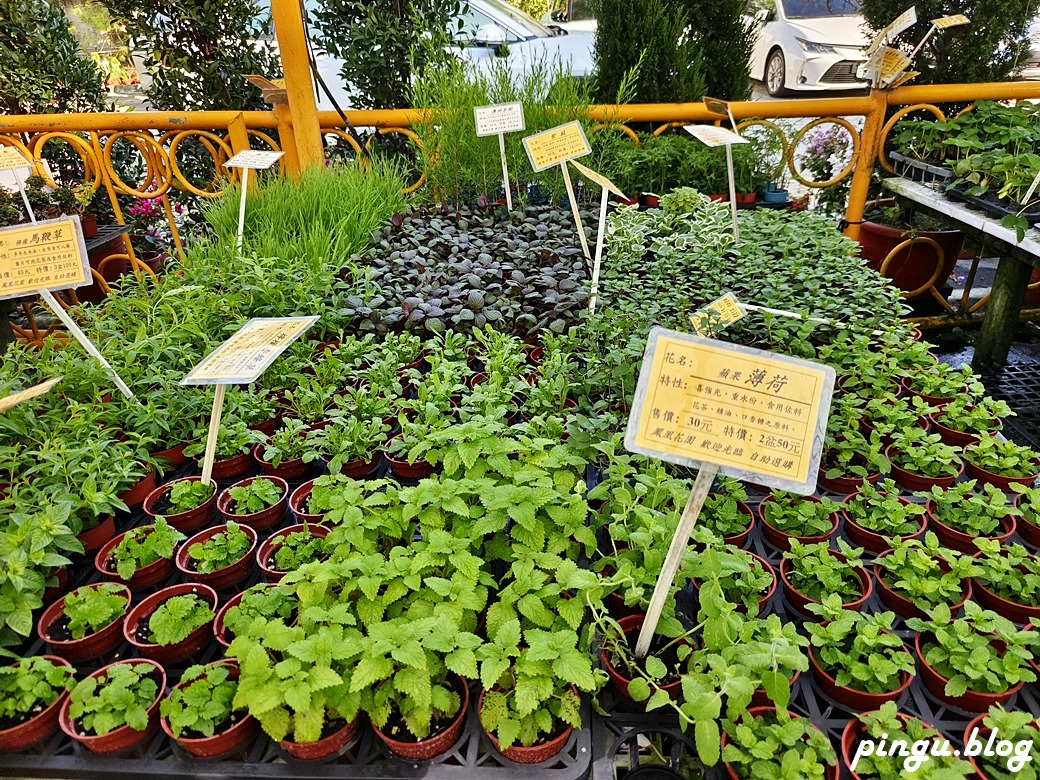 樂遊花鄉田尾一日遊這樣玩 騎協力車買花、逛綠植園藝、手作DIY 感受田園風光