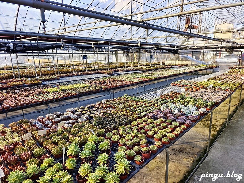 樂遊花鄉田尾一日遊這樣玩 騎協力車買花、逛綠植園藝、手作DIY 感受田園風光