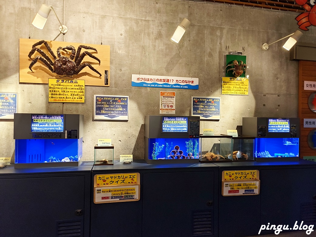 日本鳥取景點｜無料鳥取賀露螃蟹兒童博物館 とっとり賀露かにっこ館