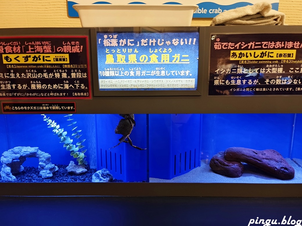 日本鳥取景點｜無料鳥取賀露螃蟹兒童博物館 とっとり賀露かにっこ館