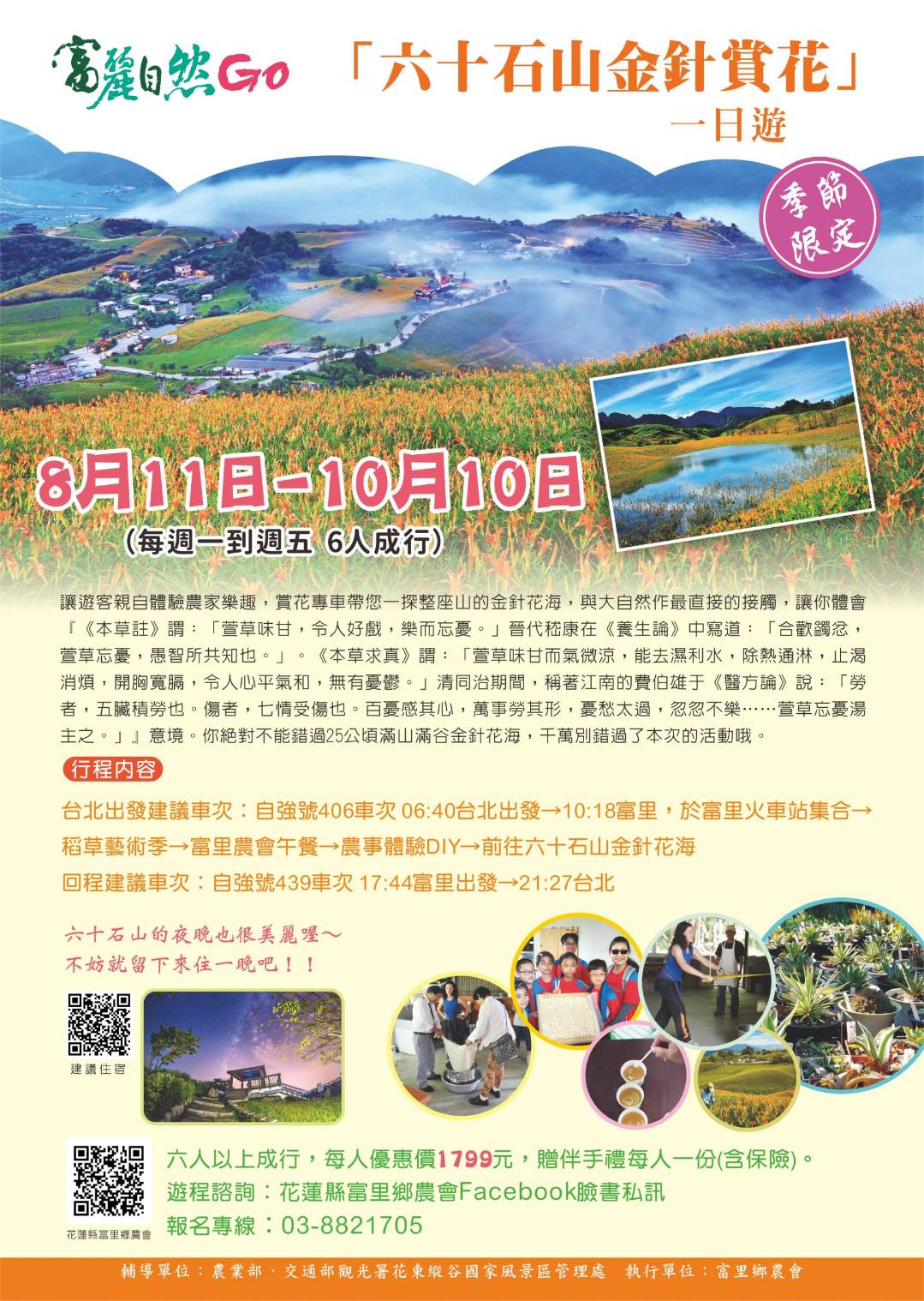 花蓮景點｜六十石山金針花海 忘憂大地感謝祭 (113/8/10~10/13)