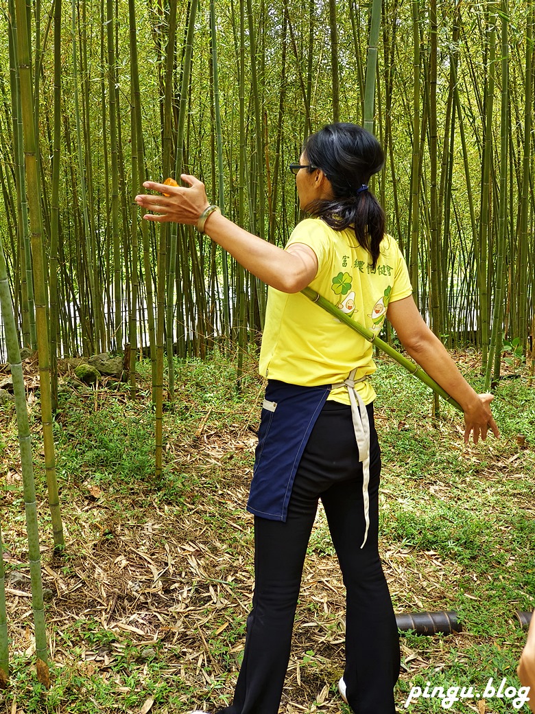 花蓮景點｜六十石山金針花海 忘憂大地感謝祭 (113/8/10~10/13)