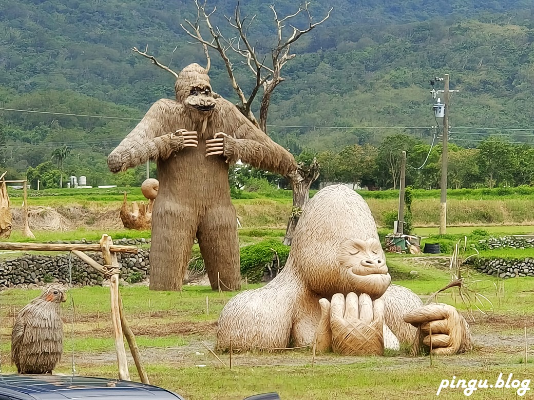 花蓮景點｜六十石山金針花海 忘憂大地感謝祭 (113/8/10~10/13)