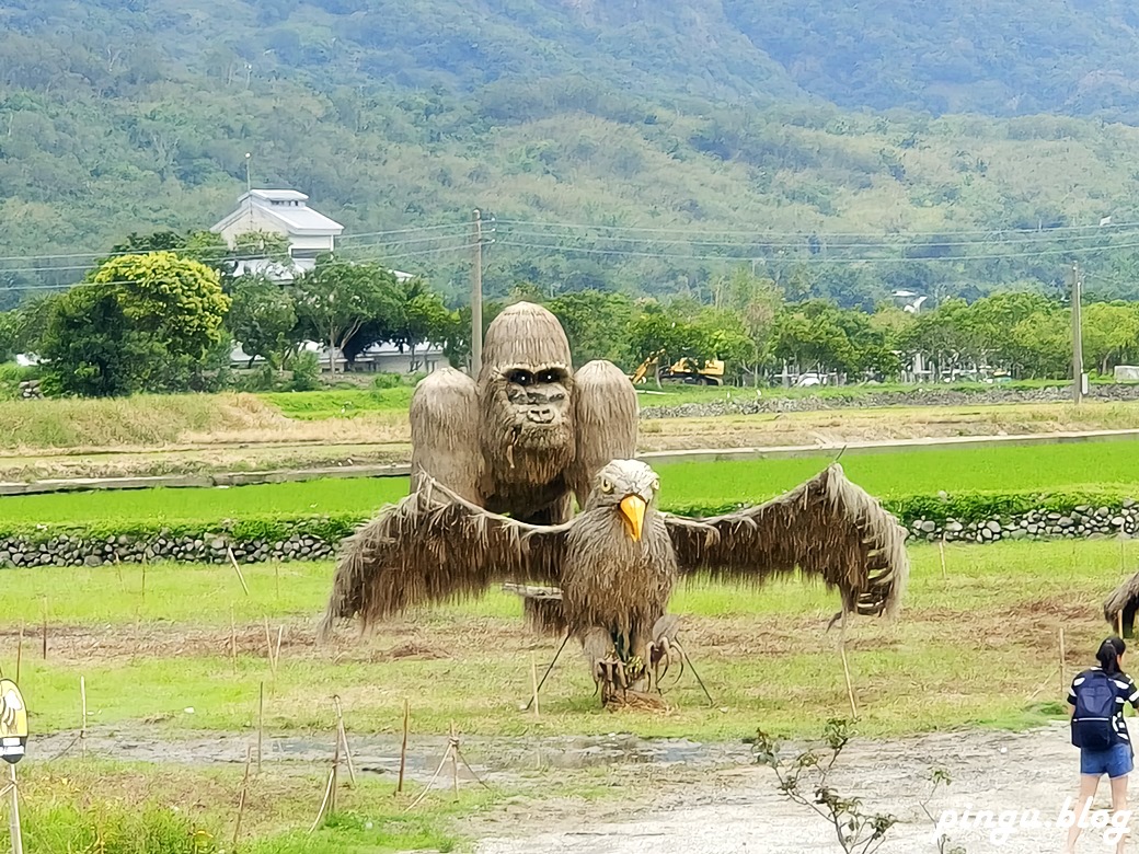 花蓮景點｜六十石山金針花海 忘憂大地感謝祭 (113/8/10~10/13)