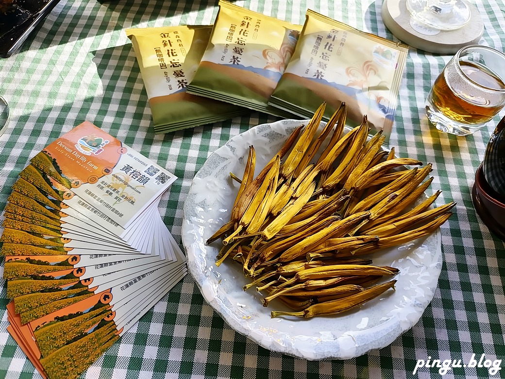 花蓮景點｜六十石山金針花海 忘憂大地感謝祭 (113/8/10~10/13)