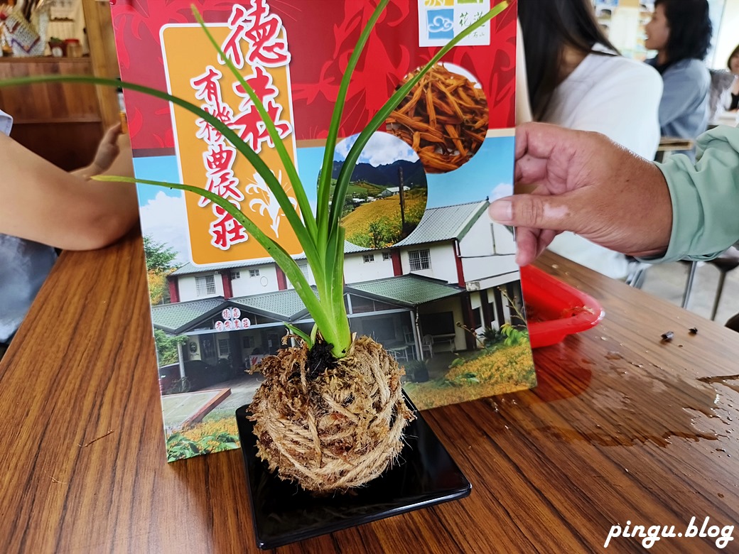 花蓮景點｜六十石山金針花海 忘憂大地感謝祭 (113/8/10~10/13)