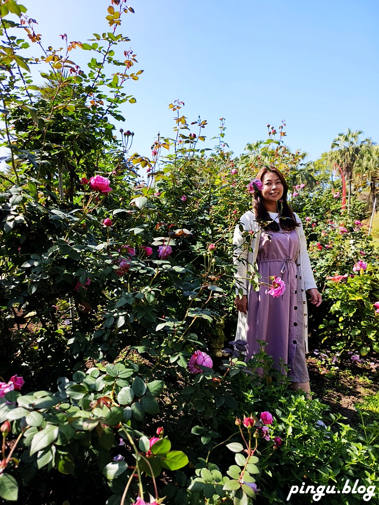 雅聞峇里海岸觀光工廠｜雲林斗六親子景點 峇里島茅草屋沙灘南洋風情 玫瑰季浪漫打卡景點