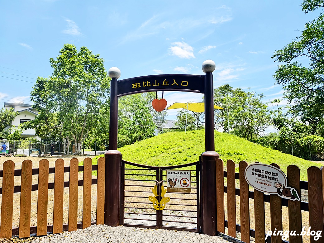 斑比山丘 Bambi Land｜與卡哇伊的卡比巴拉黑糖牛奶霜淇淋 來一場與鹿共舞的童話旅程！