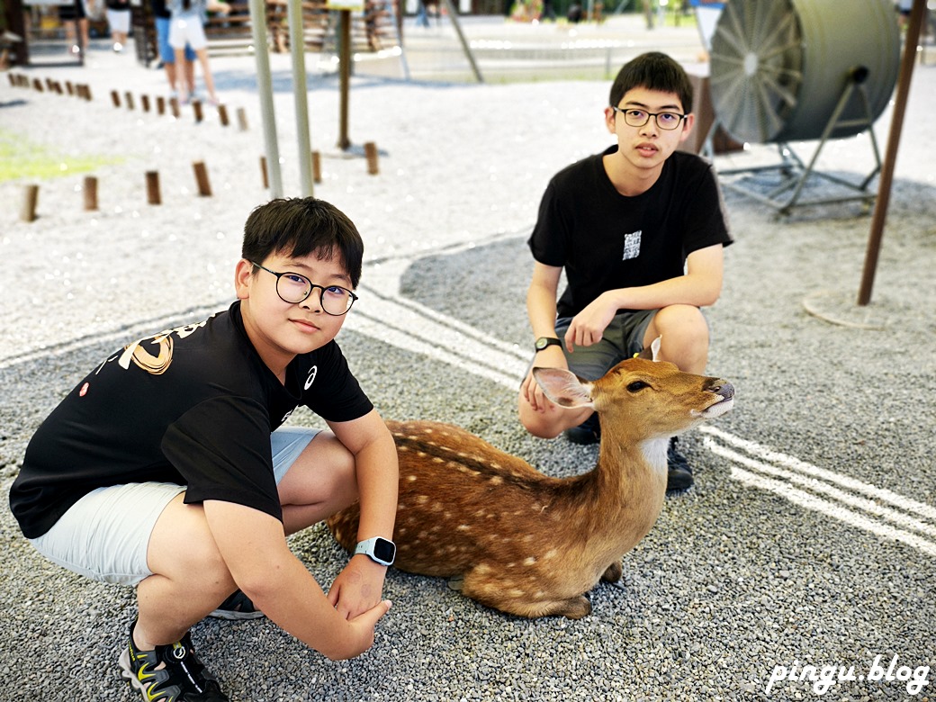 斑比山丘 Bambi Land｜與卡哇伊的卡比巴拉黑糖牛奶霜淇淋 來一場與鹿共舞的童話旅程！