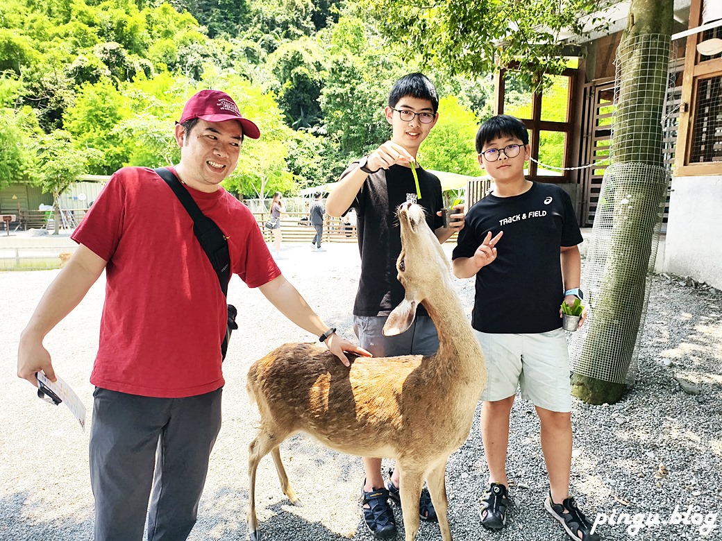 斑比山丘 Bambi Land｜與卡哇伊的卡比巴拉黑糖牛奶霜淇淋 來一場與鹿共舞的童話旅程！