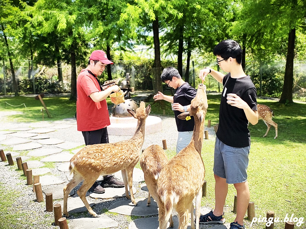 斑比山丘 Bambi Land｜與卡哇伊的卡比巴拉黑糖牛奶霜淇淋 來一場與鹿共舞的童話旅程！